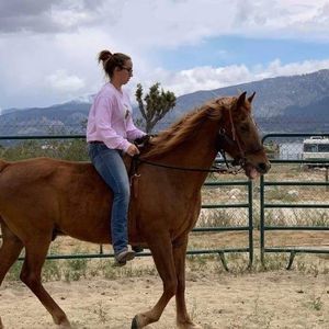 Meet your Posher, Mary katrina